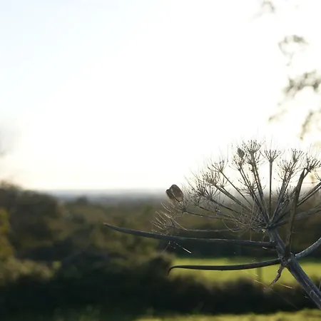 Arome 3* Santeramo in Colle