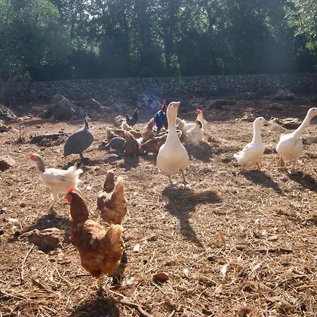 Bed and Breakfast Arome 3*