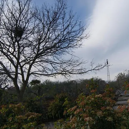 فندق مبيت وإفطار Arome 3*