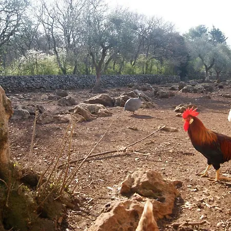 Alojamento de Acomodação e Pequeno-almoço Arome