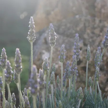 Arome 3* سانتيرامو إن كولي